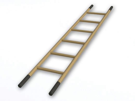FMS Basic Assault Ladder